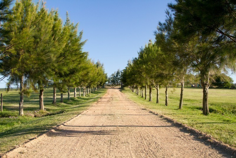Chacra en venta a minutos del Pueblo de José Ignacio